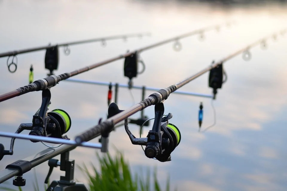 main carp uk min 1