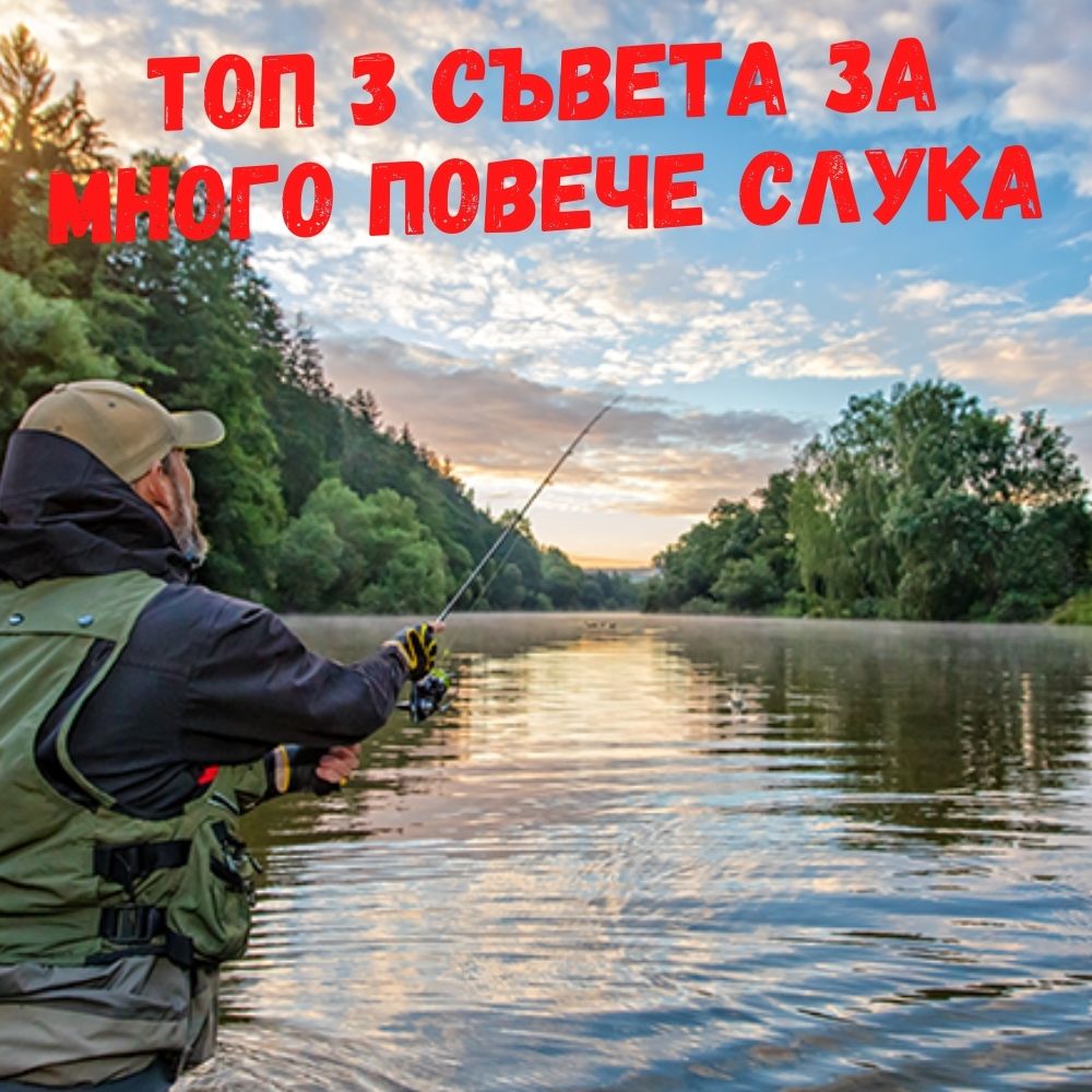 на заглавие 1 1