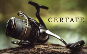 certate2000