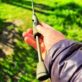 256
