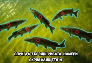 Всичко, което трябва да знаем за макарите Daiwa 15 Риболов на Щука